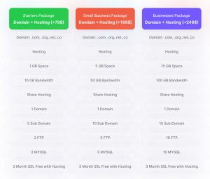 website development cost