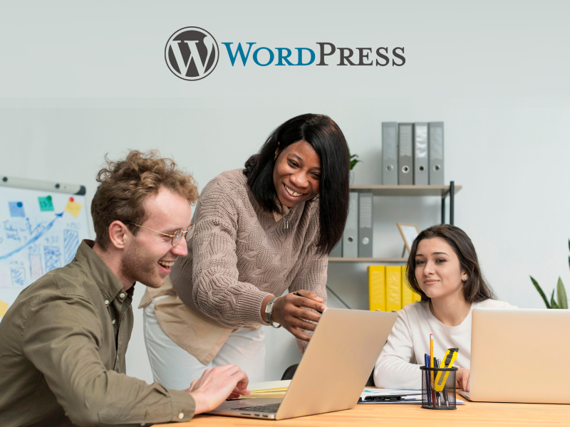 Hiring a WordPress Development Company How to hire the best wordpress development company?