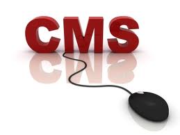 Myth or Fact: You Have Total Control on Website by Using CMS