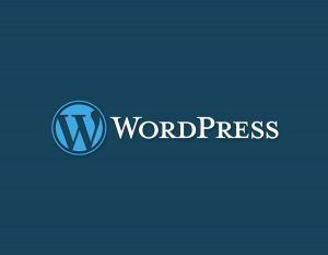 wordpress cms